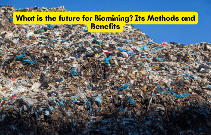 What is the future of Biomining? Its Methods and Benefits